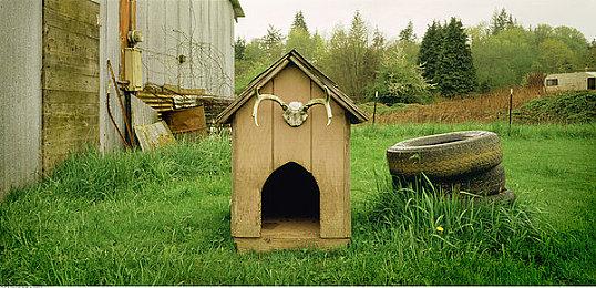 发售仅仅6周后 《死亡循环》已经开启降价促销